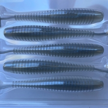 Albino Shad 
